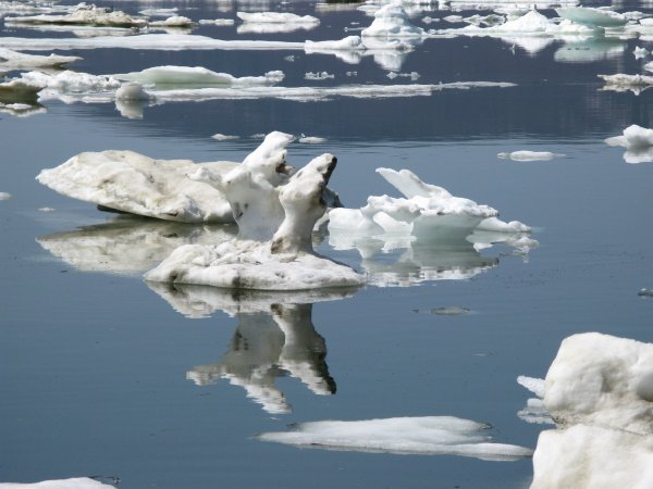 Фото причуды весны