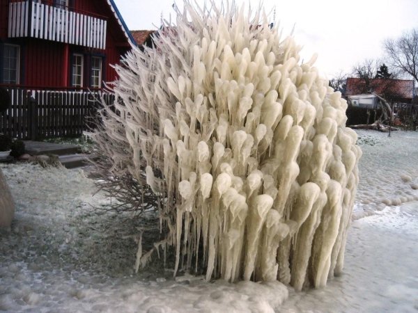 Причуды природы зимой