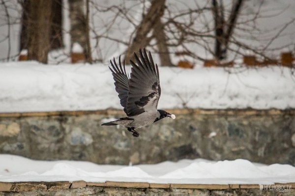 Чудесной весны