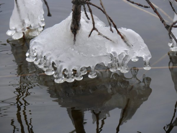 Весна открытки прикольные