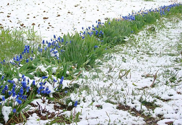 Весна пришла апрель