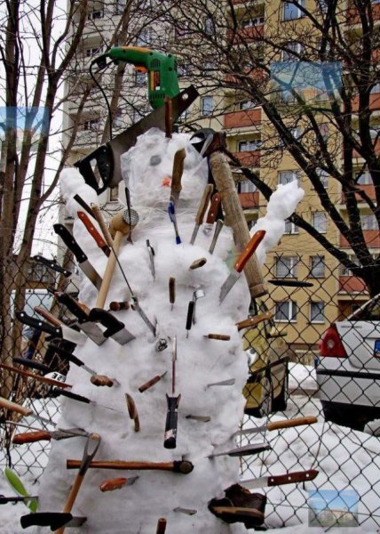 Цветы из под снега