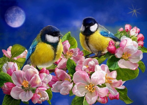 Весенние цветы и птицы