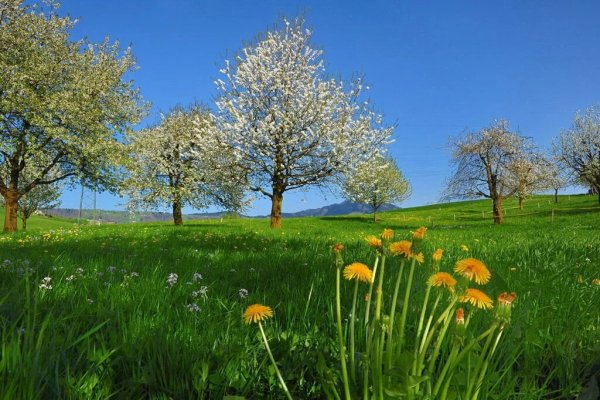 Май природа