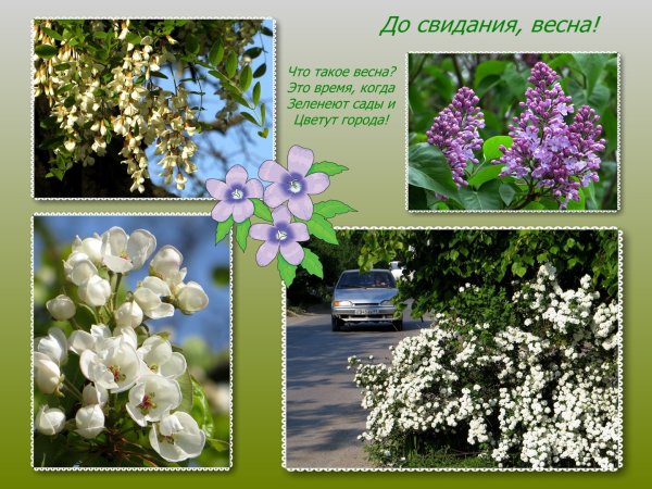 До свидания Весна