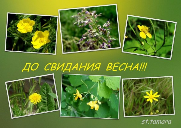 Открытки досвидание Весна