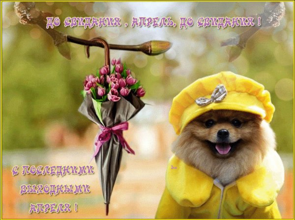 Пока апрель