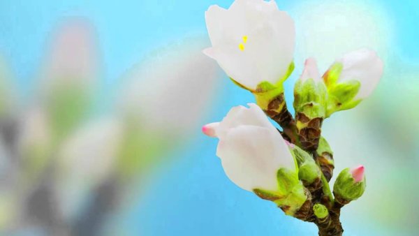 С последним днем весны