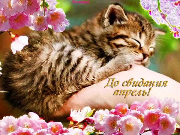 Открытки май месяц