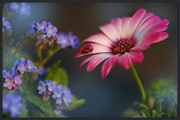 Открытки конец июля