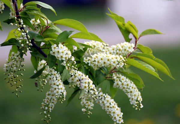 Открытки с последним майским днем