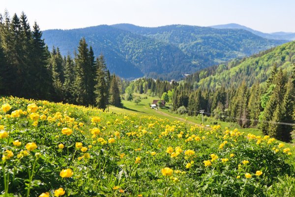 Карпаты в мае