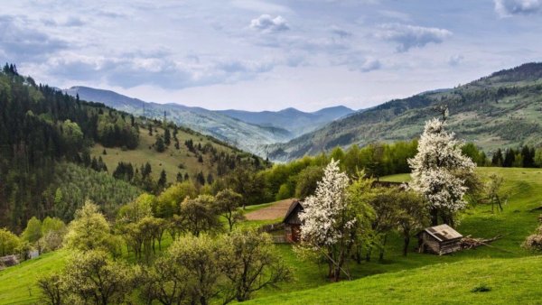 Карпаты Венгрия