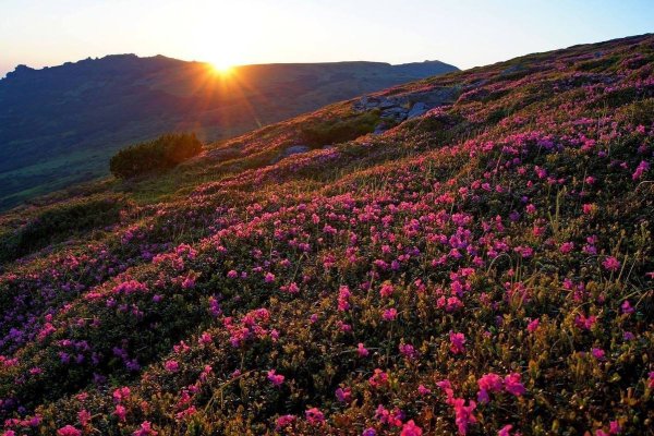 Карпаты весной