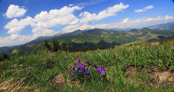 Карпаты Весна