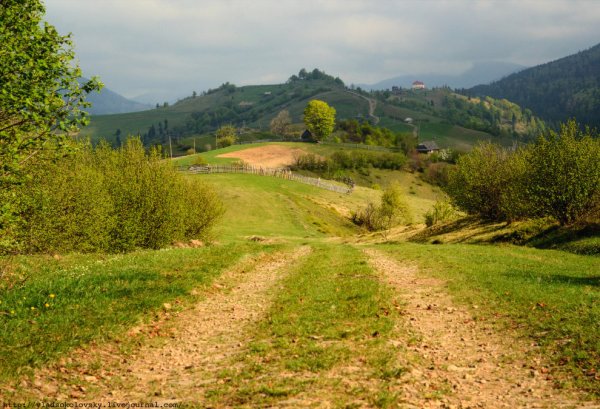 Весна в Карпатах