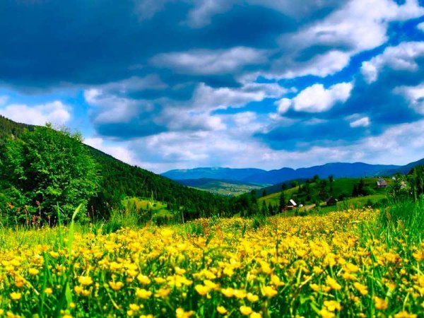 Май Карпаты