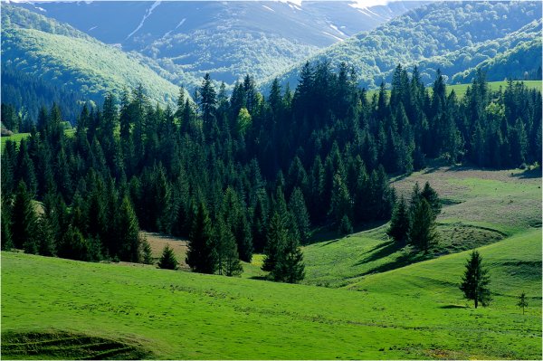 Гористая местность Карпаты