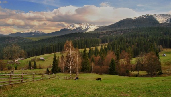 Гора Златибор Карпаты