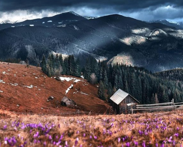 Обои Весна в Карпатах