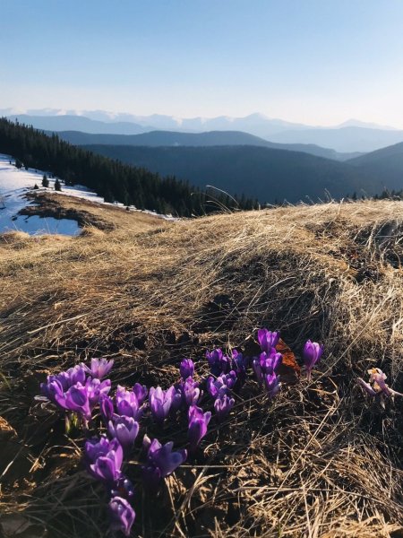 Карпаты Венгрия Весна