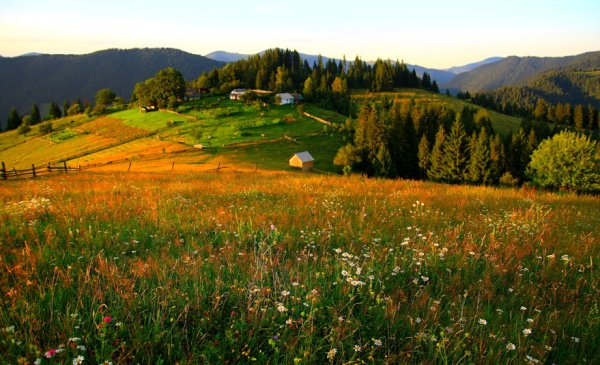 Горы Карпаты Украина Весна