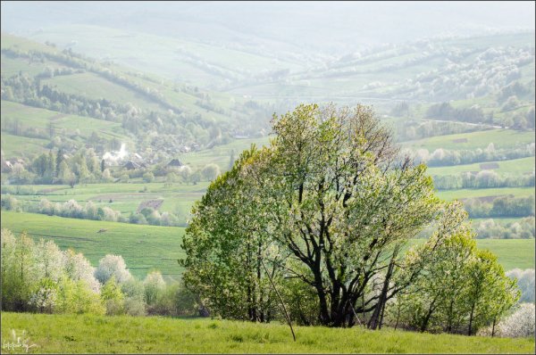 Карпаты Весна