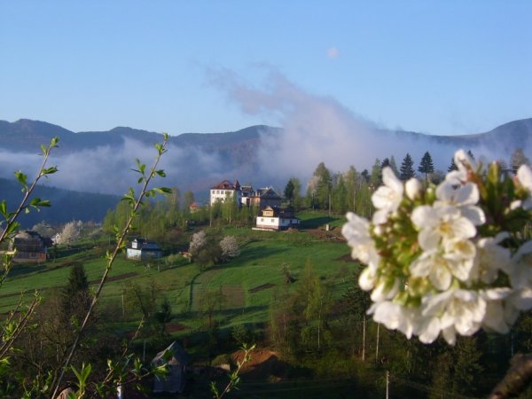 Закарпатье весной