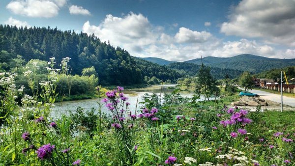 Карпаты летом