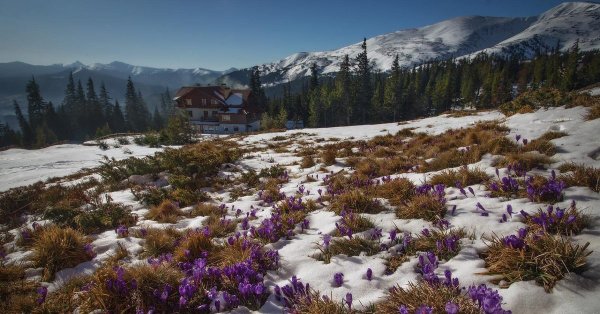 Горы Карпаты Весна