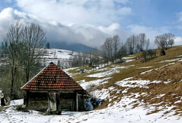 Весна в Карпатах фото