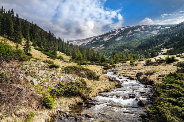 Карпаты Весна