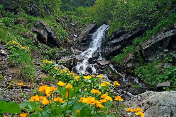 Весна в Карпатах