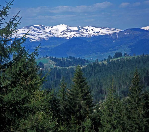 Горы Карпаты Украина Весна