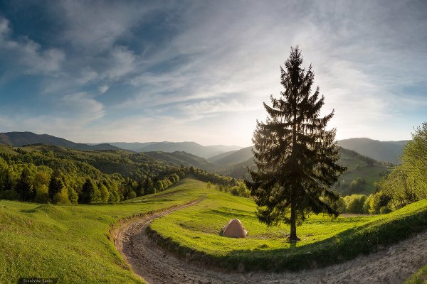 Поле Карпаты горы