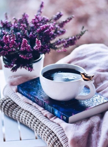 Интересные пожелания с добрым утром