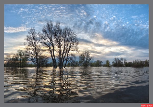 Весенний разлив реки