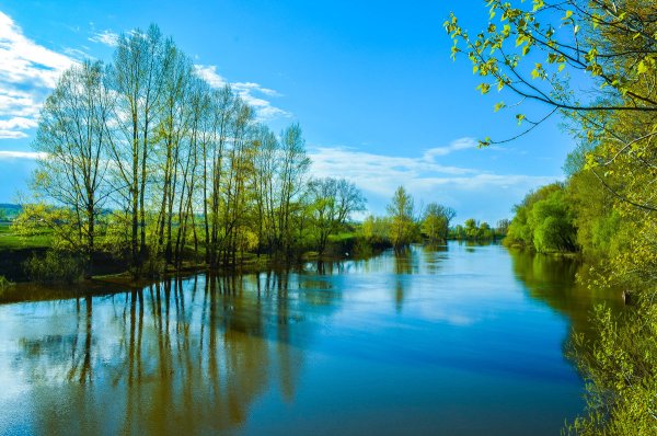 Река Луга разлив