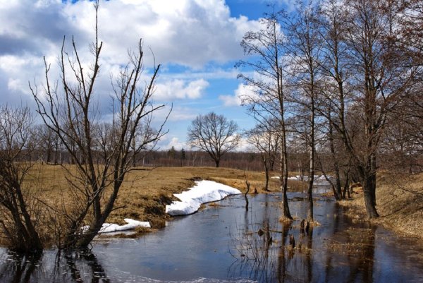 Весенний паводок
