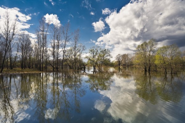 Весеннее половодье