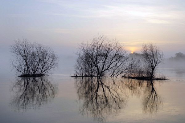 Разлив реки