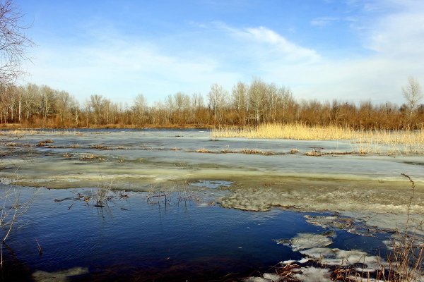 Весна разлив реки