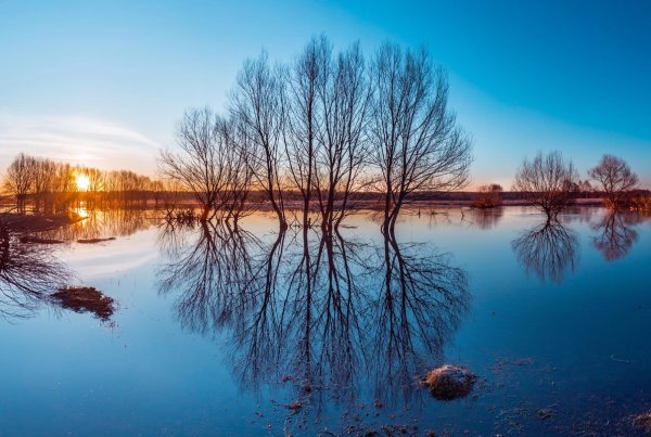 Река Шерна весной Владимирская область
