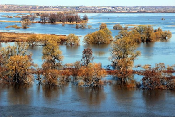 Разливы рек подобные морям