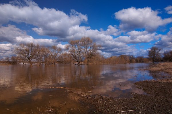 Разлив реки весной