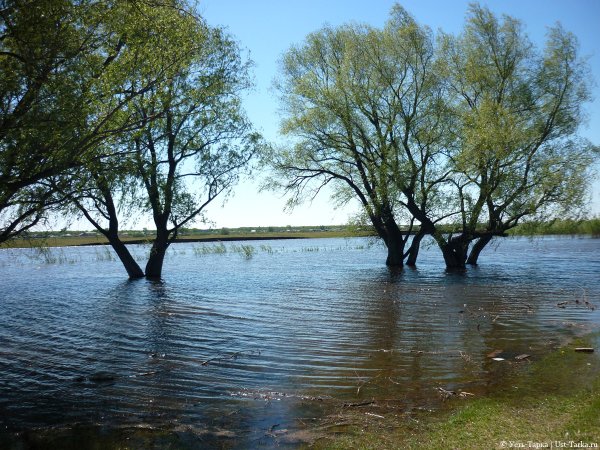 Сандогора разлив реки
