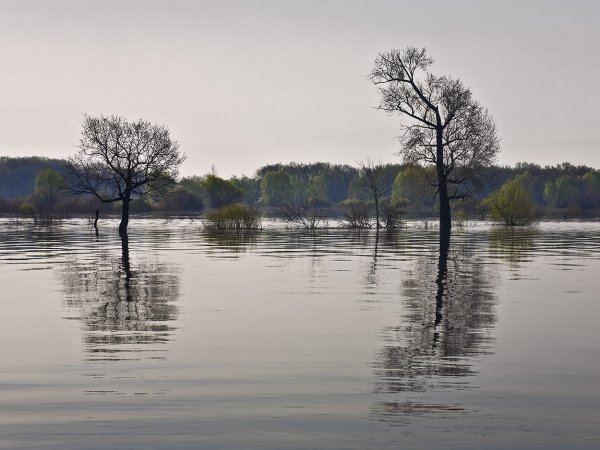 Половодье реки Волга