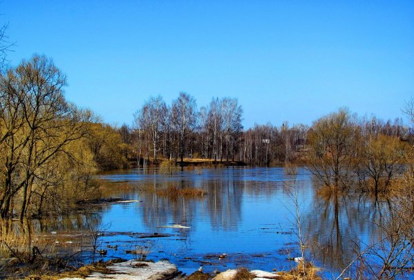 Разлив реки весной