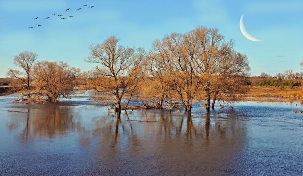 Весеннее половодье обои