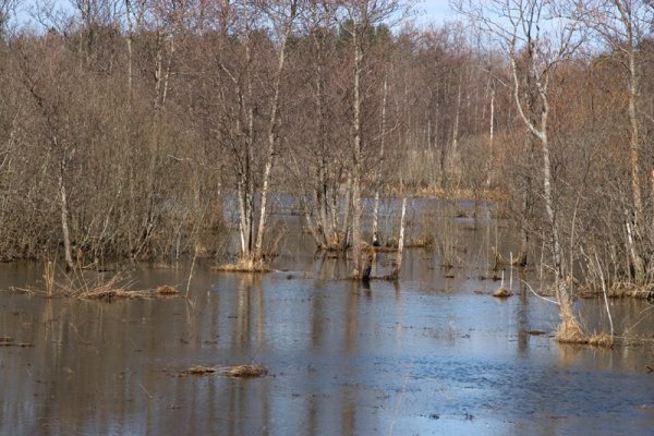 Половодье реки